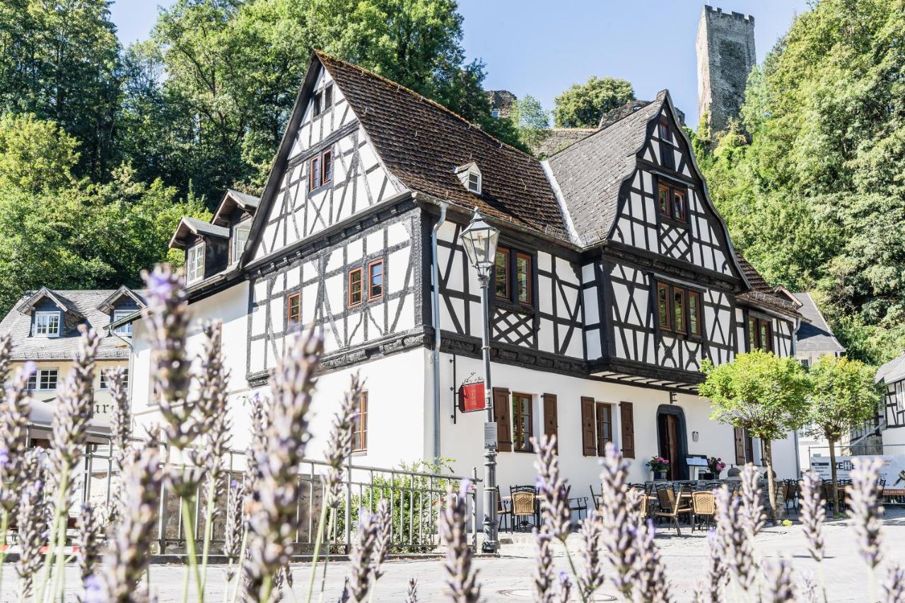Landgasthof Zur Burg Grenzau Höhr-Grenzhausen Dış mekan fotoğraf